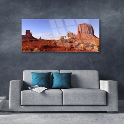 Acrylglasbilder Wüste Landschaft