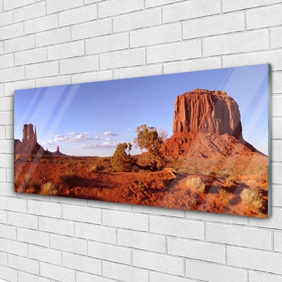 Acrylglasbilder Wüste Landschaft