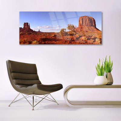 Acrylglasbilder Wüste Landschaft