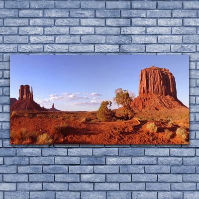 Acrylglasbilder Wüste Landschaft
