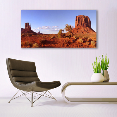 Acrylglasbilder Wüste Landschaft