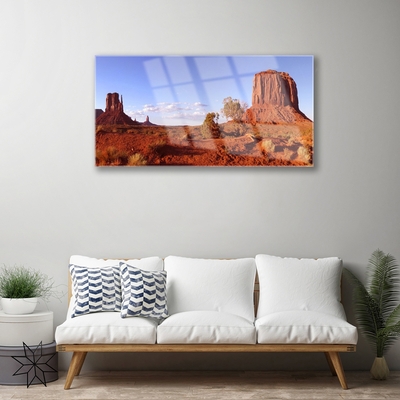 Acrylglasbilder Wüste Landschaft