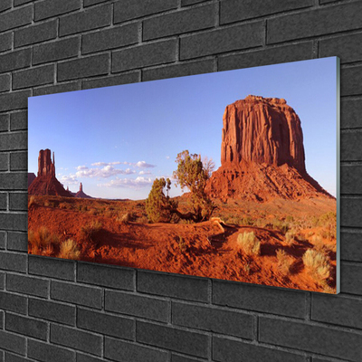 Acrylglasbilder Wüste Landschaft