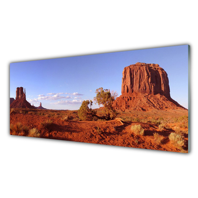 Acrylglasbilder Wüste Landschaft