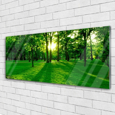 Acrylglasbilder Wald Natur