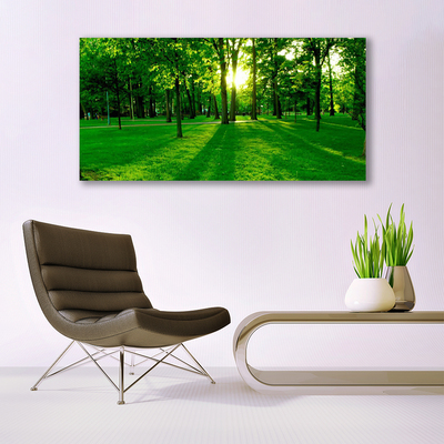 Acrylglasbilder Wald Natur