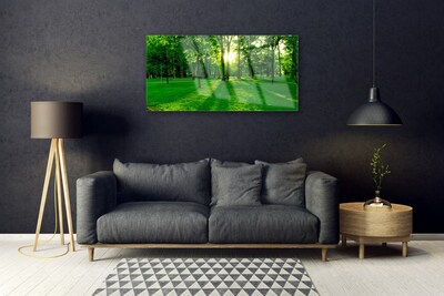 Acrylglasbilder Wald Natur