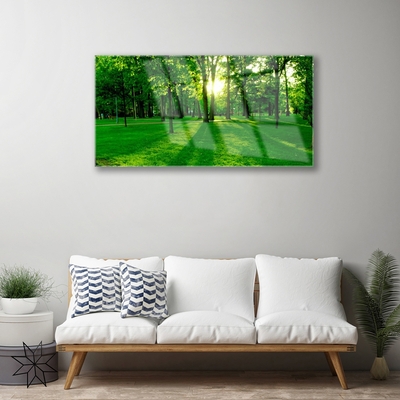 Acrylglasbilder Wald Natur