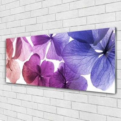 Acrylglasbilder Blumen Pflanzen