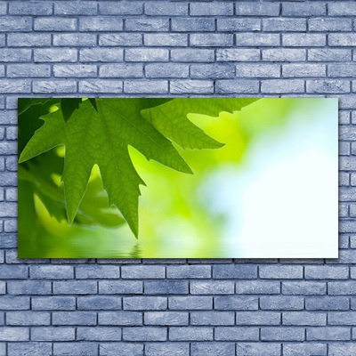 Acrylglasbilder Blätter Natur