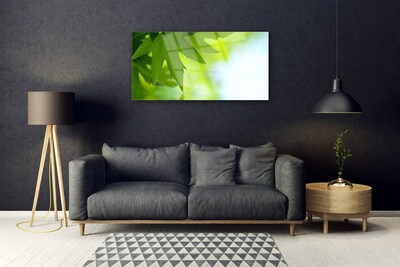 Acrylglasbilder Blätter Natur