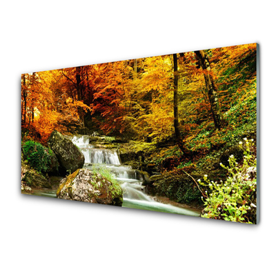 Acrylglasbilder Wasserfall Wald Natur