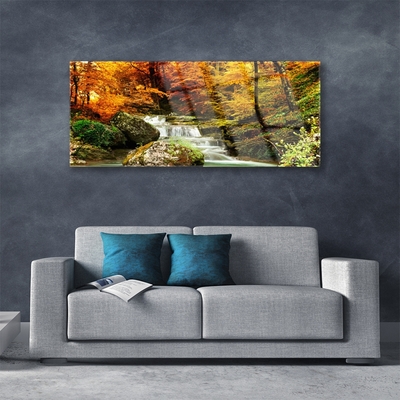 Acrylglasbilder Wasserfall Wald Natur