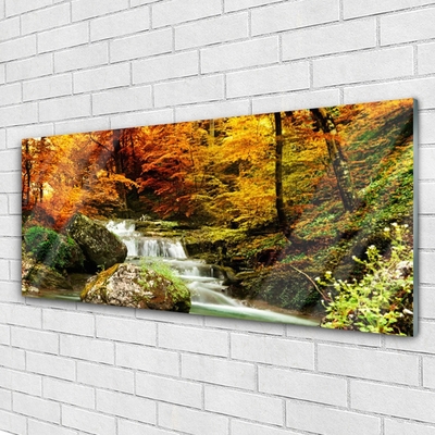 Acrylglasbilder Wasserfall Wald Natur