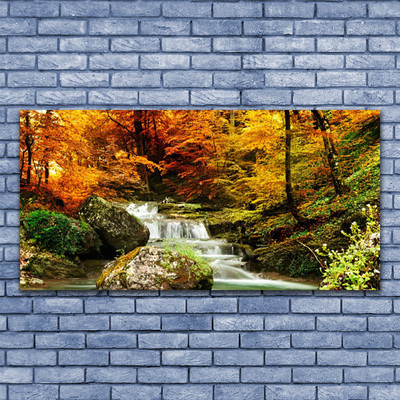 Acrylglasbilder Wasserfall Wald Natur