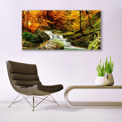 Acrylglasbilder Wasserfall Wald Natur