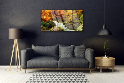 Acrylglasbilder Wasserfall Wald Natur