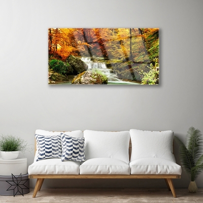 Acrylglasbilder Wasserfall Wald Natur