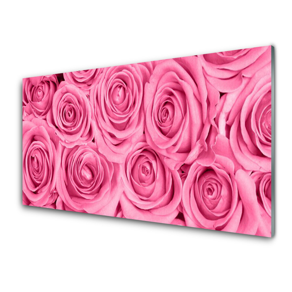 Acrylglasbilder Rosen Pflanzen