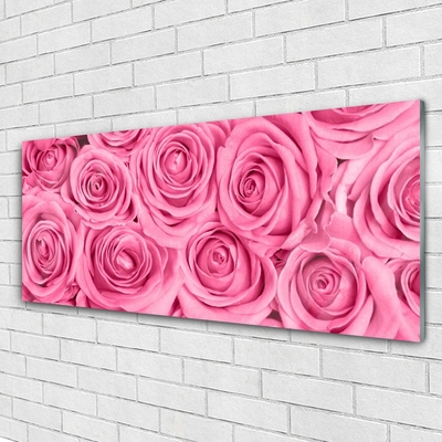 Acrylglasbilder Rosen Pflanzen