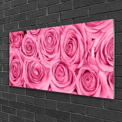 Acrylglasbilder Rosen Pflanzen