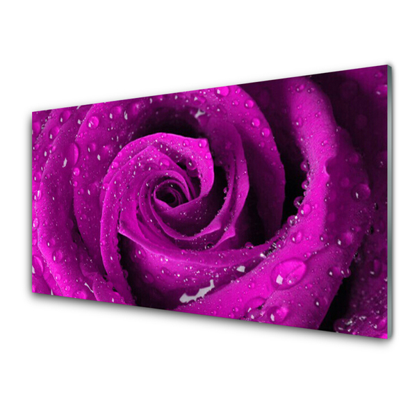 Acrylglasbilder Rose Pflanzen