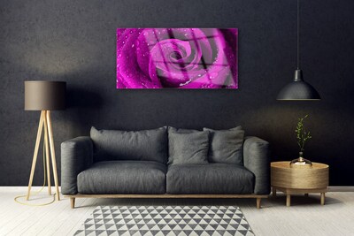 Acrylglasbilder Rose Pflanzen