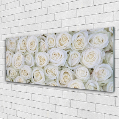 Acrylglasbilder Rosen Pflanzen