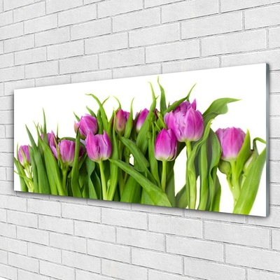 Acrylglasbilder Tulpen Pflanzen