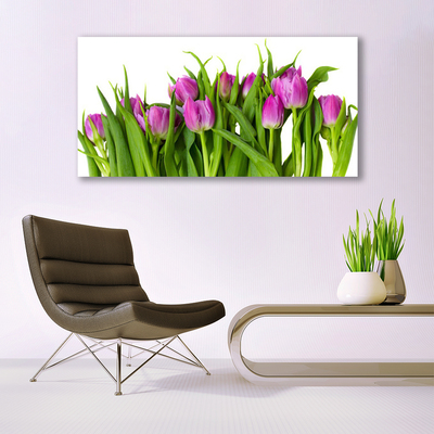 Acrylglasbilder Tulpen Pflanzen