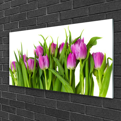 Acrylglasbilder Tulpen Pflanzen