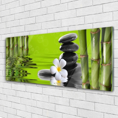 Acrylglasbilder Bambusrohre Blume Steine Kunst