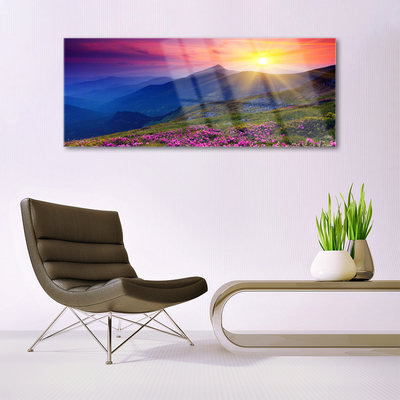 Acrylglasbilder Gebirge Blumen Wiese Landschaft