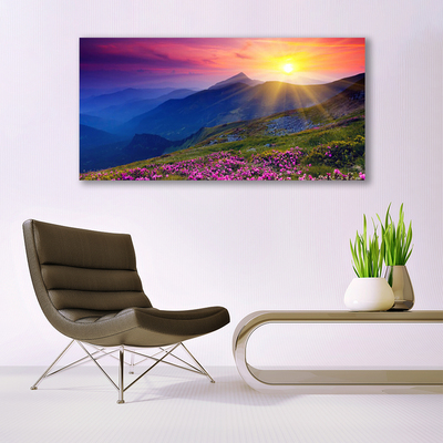 Acrylglasbilder Gebirge Blumen Wiese Landschaft