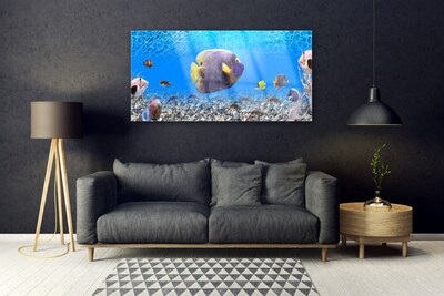 Acrylglasbilder Fische Natur