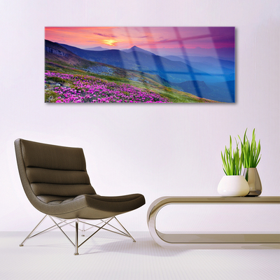 Acrylglasbilder Gebirge Wiese Blumen Landschaft