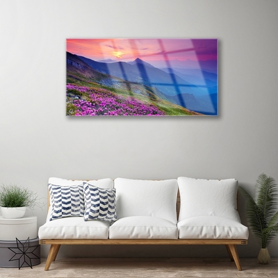 Acrylglasbilder Gebirge Wiese Blumen Landschaft