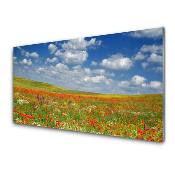 Acrylglasbilder Wiese Blumen Landschaft