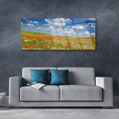 Acrylglasbilder Wiese Blumen Landschaft