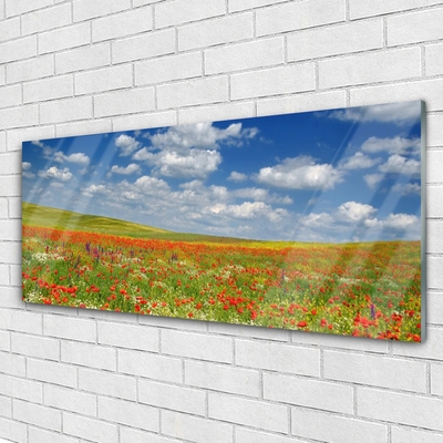 Acrylglasbilder Wiese Blumen Landschaft