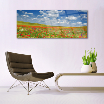 Acrylglasbilder Wiese Blumen Landschaft