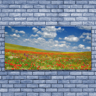 Acrylglasbilder Wiese Blumen Landschaft