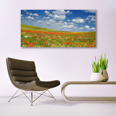 Acrylglasbilder Wiese Blumen Landschaft