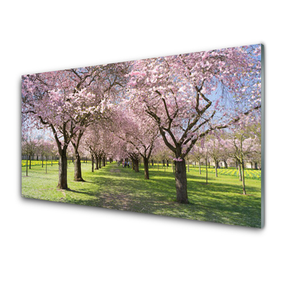Acrylglasbilder Fußpfad Bäume Natur