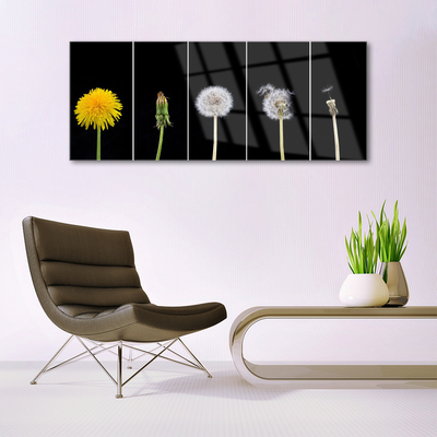 Acrylglasbilder Pusteblume Löwenzahn Pflanzen