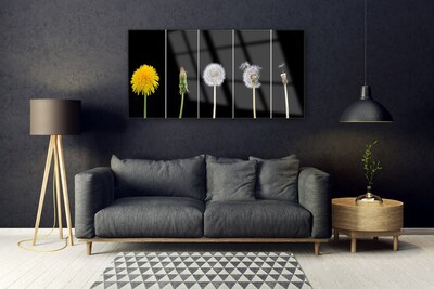 Acrylglasbilder Pusteblume Löwenzahn Pflanzen