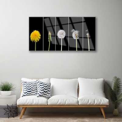 Acrylglasbilder Pusteblume Löwenzahn Pflanzen