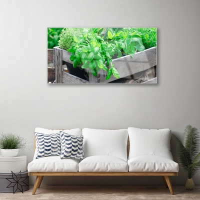 Acrylglasbilder Blätter Pflanzen