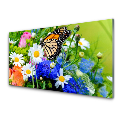 Acrylglasbilder Blumen Falter Natur