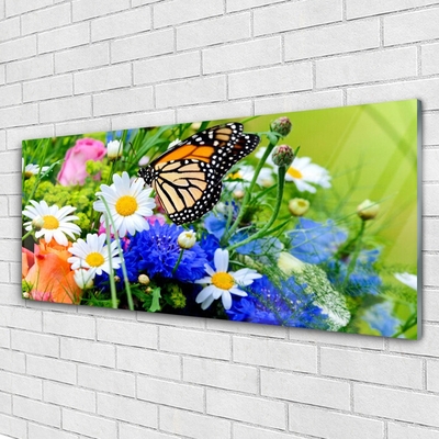 Acrylglasbilder Blumen Falter Natur